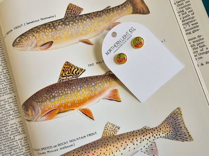 Brook Trout | Gold Bezel Studs